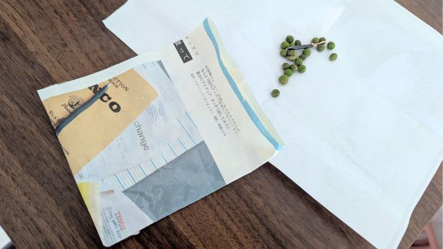 幼稚園バッグから出てきた“木の実専用封筒”