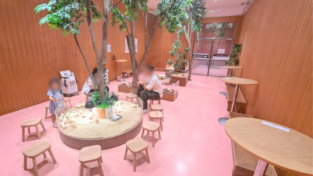 モフ動物カフェららぽーと福岡：店内の様子