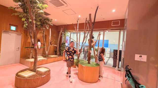 モフ動物カフェららぽーと福岡：店内の様子