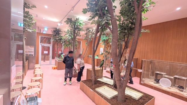 モフ動物カフェららぽーと福岡：店内の様子