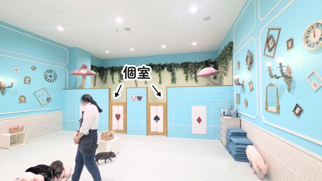mipigcafe(マイピッグカフェ)イオンモール福岡　店内の様子
