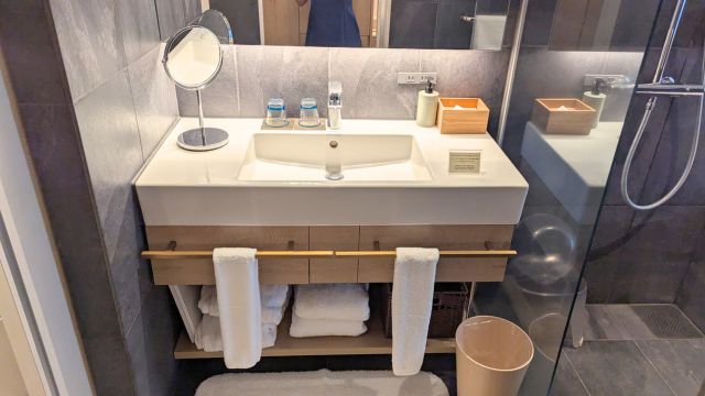 ガーデンテラス佐賀：洗面台