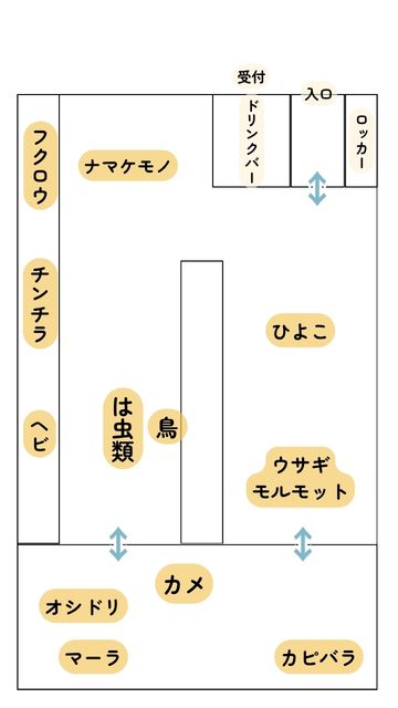 モフ動物カフェららぽーと福岡：店内図